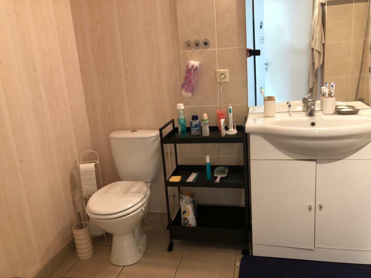 Appartement Au Milieu Des Lacs, Au Bord Du Guiers Aoste Eksteriør bilde